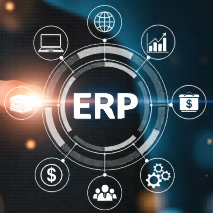 ERP Implementation Service