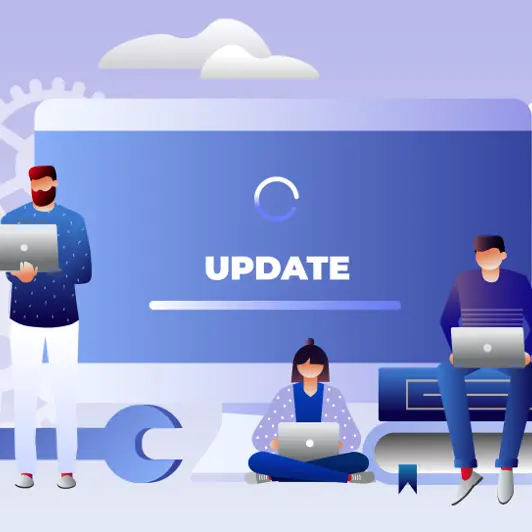 ERP Version Upgrade Service