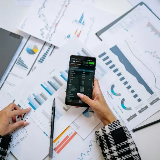 Custom ERP Reporting & Analytics